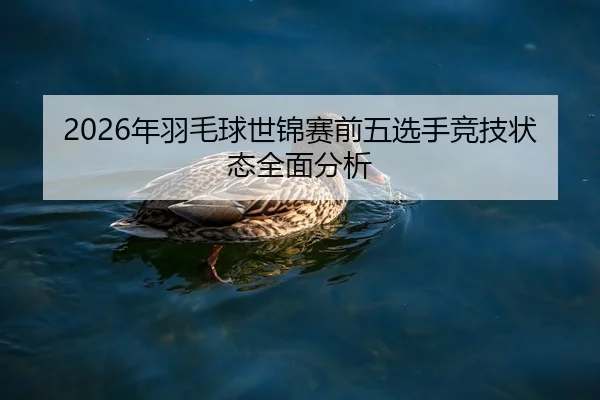 2026年羽毛球世锦赛前五选手竞技状态全面分析