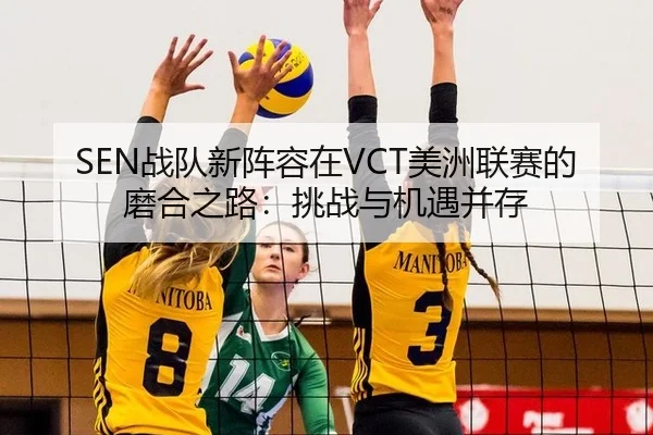 SEN战队新阵容在VCT美洲联赛的磨合之路：挑战与机遇并存