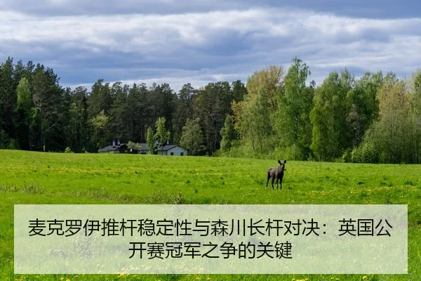 mai-ke-luo-yi-tui-gan-wen-ding-xing-yu-sen-chuan-zhang-gan-dui-jue-ying-guo-gong-kai-sai-guan-jun-zhi-zheng-de-guan-jian-2-870.jpg