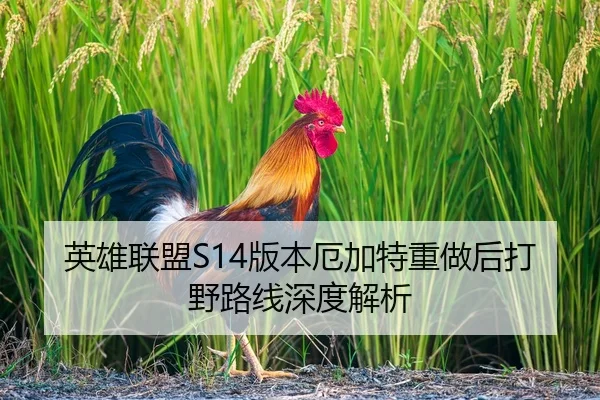 英雄联盟S14版本厄加特重做后打野路线深度解析