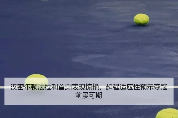 han-mi-er-dun-fa-la-li-shou-ce-biao-xian-jing-yan-chao-qiang-shi-ying-xing-yu-shi-duo-guan-qian-jing-ke-qi-2-290.jpg