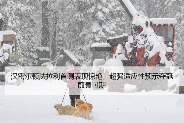 han-mi-er-dun-fa-la-li-shou-ce-biao-xian-jing-yan-chao-qiang-shi-ying-xing-yu-shi-duo-guan-qian-jing-ke-qi-3-742.jpg