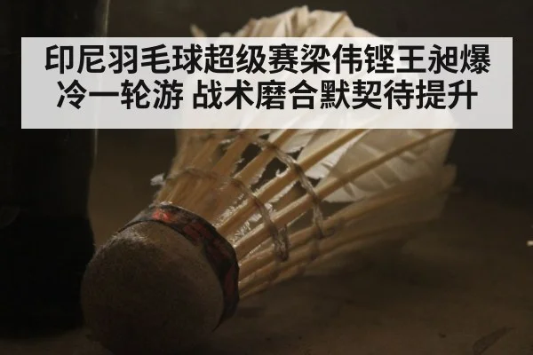 印尼羽毛球超级赛梁伟铿王昶爆冷一轮游 战术磨合默契待提升